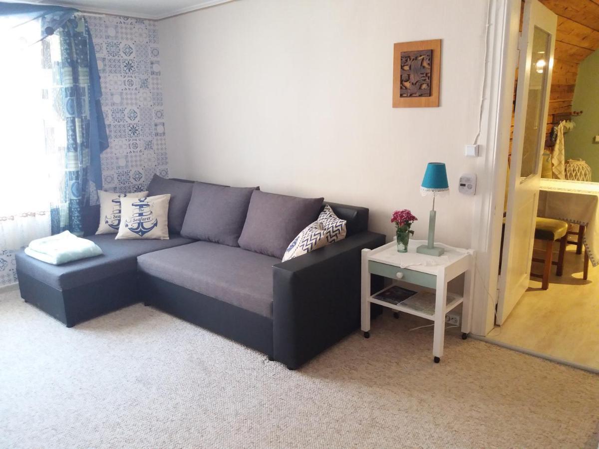 Viljandi Paadimehe Apartment Екстер'єр фото